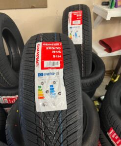 Fronway 205/55R16 91H Icemaster I
